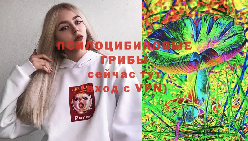 купить наркоту  Усолье-Сибирское  кракен ССЫЛКА  Псилоцибиновые грибы Psilocybe 